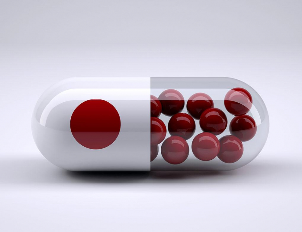 Japanese Pharmaceutical Companies Attract Top Talent MORUNDA
